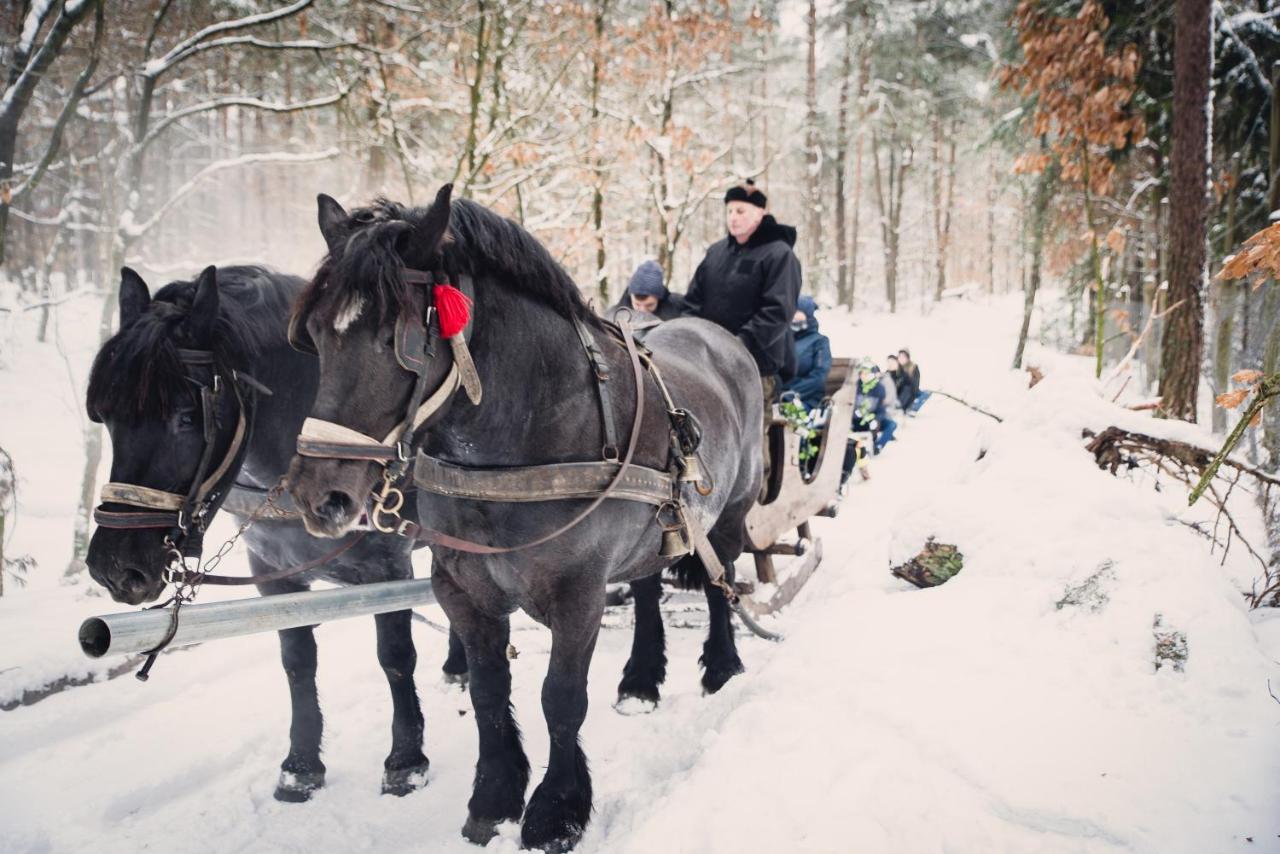 Na Gwizdówce  U Kargula - Kaszuby Dom wakacyjny Sierakowice (Pomerania)